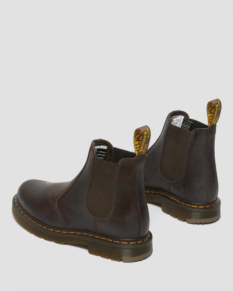 Dr Martens 2976 Slip Resistant Leren Enkellaars Heren Donkerbruin | NL 376QMA